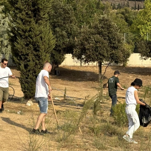 Δεντροφροντίδα και Εθελοντισμός