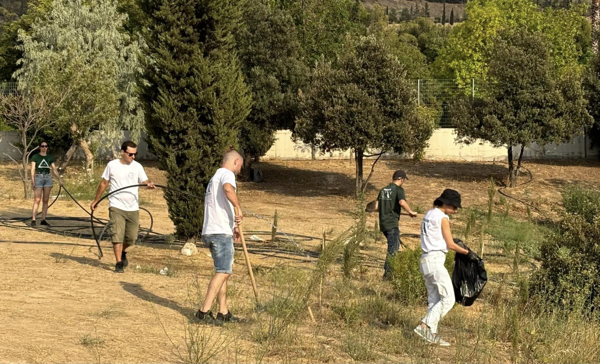 Δεντροφροντίδα και Εθελοντισμός